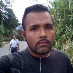 josed26422