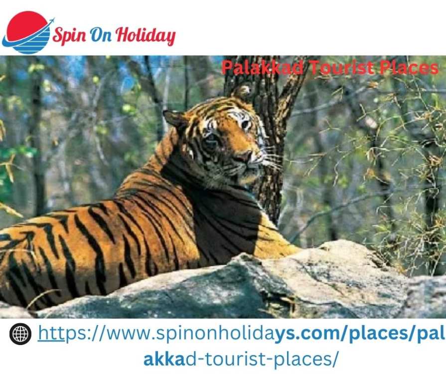 Palakkad Tourist Places.jpg