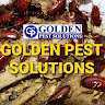 goldenpest