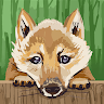 adriankawasaki1