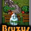 Bruzys