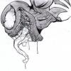 OrionVenom